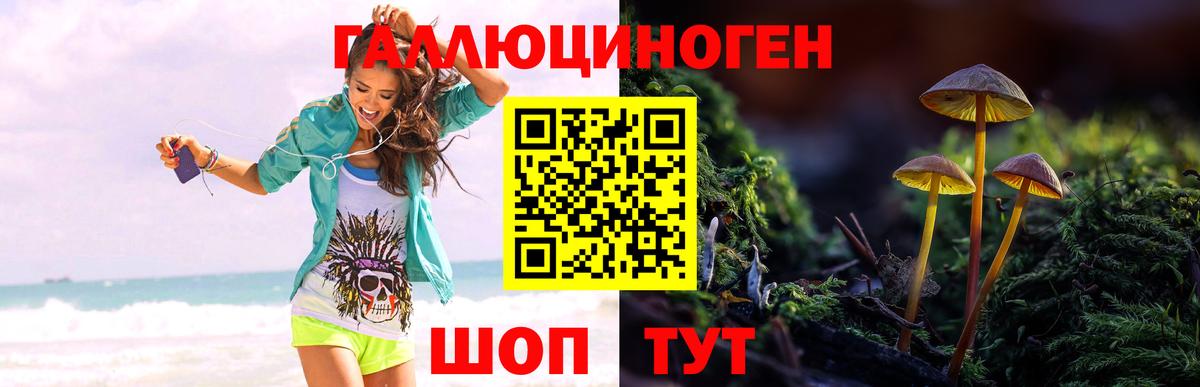 Псилоцибиновые грибы Cubensis  Вход с VPN  Энгельс  Галлюциногенные грибы Psilocybe 